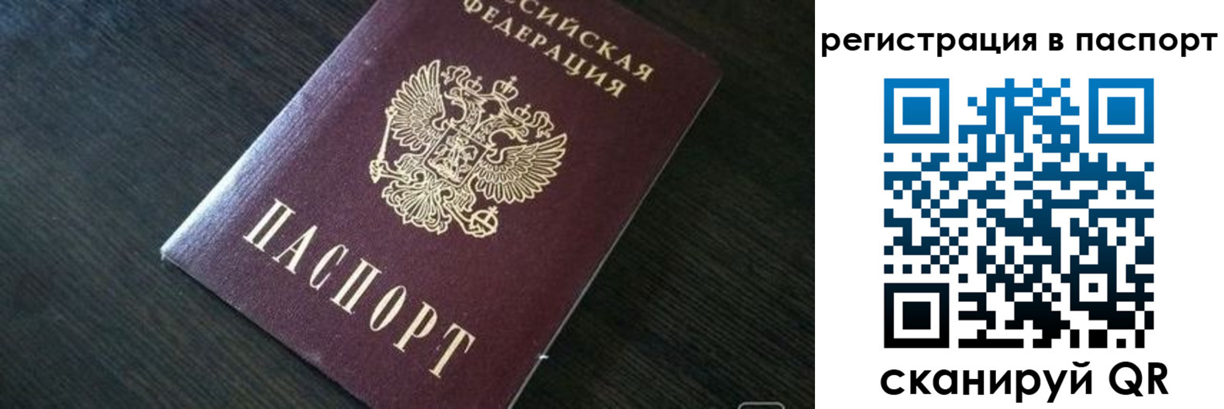 прописка в квартире в Егорьевске